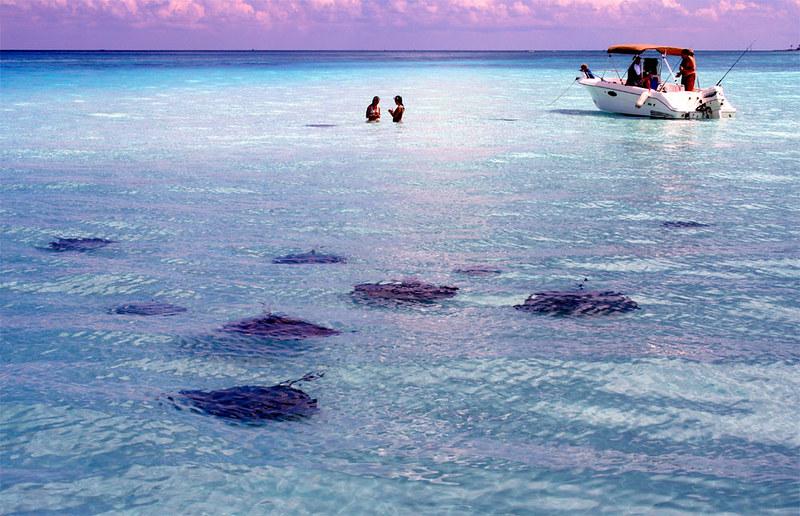 Острова Кайман (Cayman Islands)
